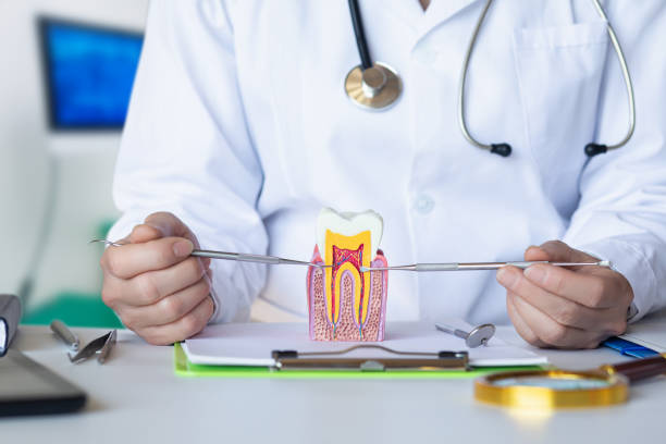 Best Emergency Root Canal Treatment in Daytona Beach, FL